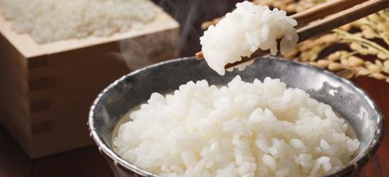 五常大米为什么好吃 五常大米介绍
