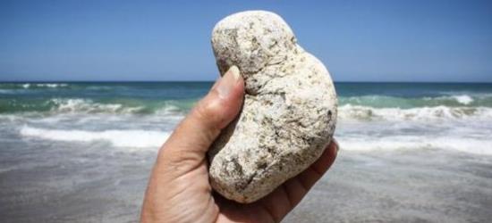 龙涎香来自于哪种海洋生物 龙涎香是什么东西