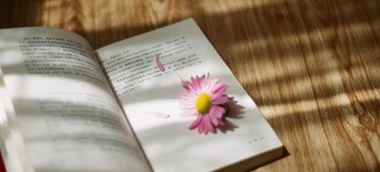 返璞归真的意思是什么