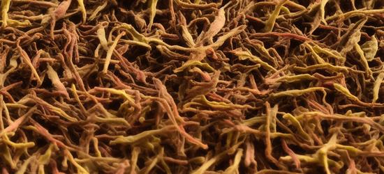 茶叶长螨虫在什么季节最旺
